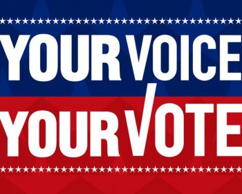 Eleições Gerais de 2020 – Votem, Votem, Votem!