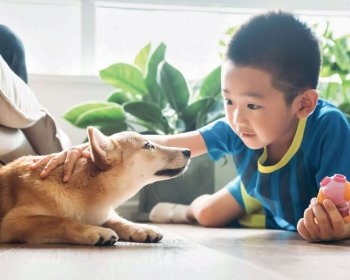 Diez Consejos para Criar Bebés y Niños Pequeños Más Compasivos