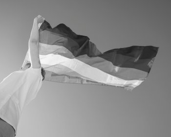 "¡Oye, Oye! ¡Ho, Ho! ¡La Homofobia Tiene que Irse!"