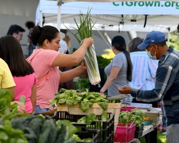 Danbury Farmers’ Market Amplía el Acceso a Alimentos Frescos y Exámenes de Salud con una Donación Anónima de $45,000