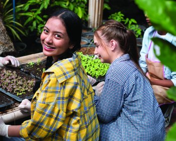 Instituto Farm to School de las Escuelas Públicas de Danbury