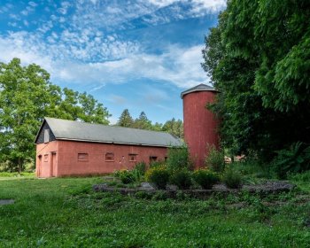 Amigos do Parque Tarrywile Concluem Projetos Importantes, Recebem Grande Verba e Planejam Novo Centro de Voluntariado